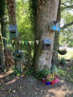 Birdboxes null